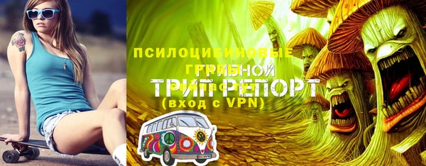 тгк Абаза