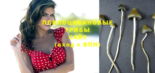 тгк Абаза