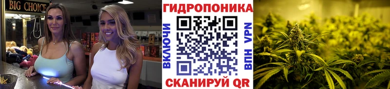 нарко площадка какой сайт  сколько стоит  Сальск  Марихуана THC 21% 